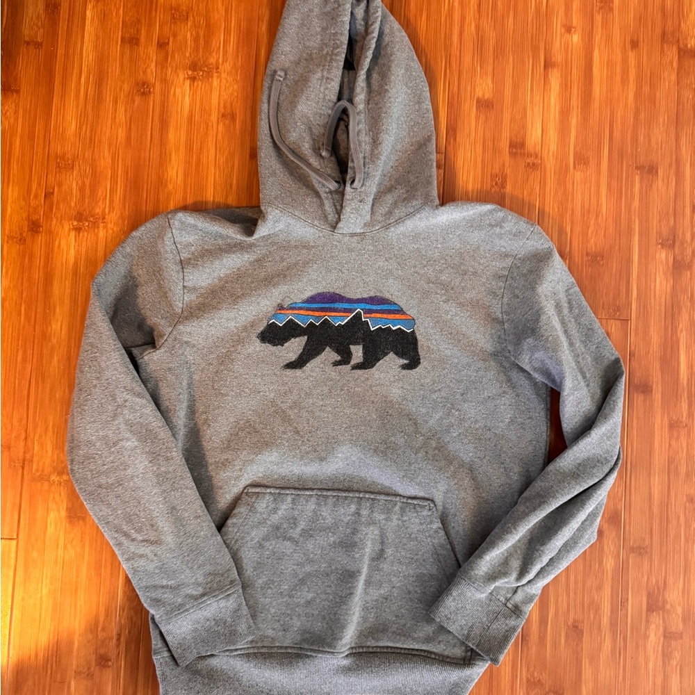 Gray Patagonia Graphic Hoodie